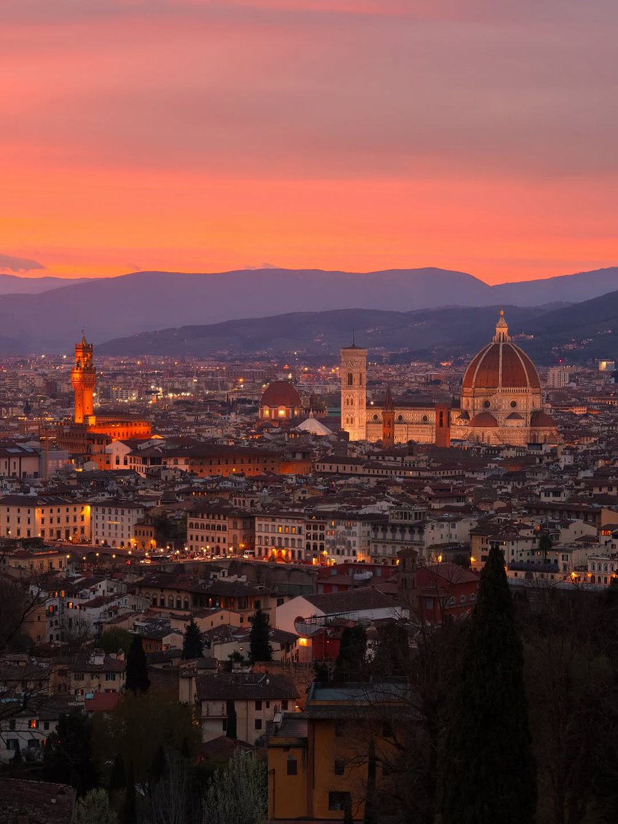 City Vibes tweet media