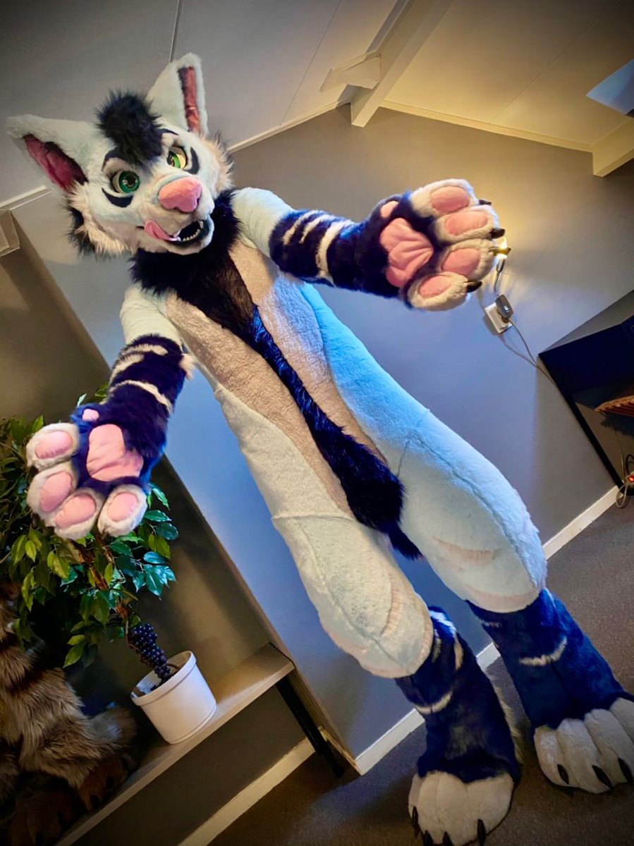 BIG ASS MUTT 🦴🥩 tweet media