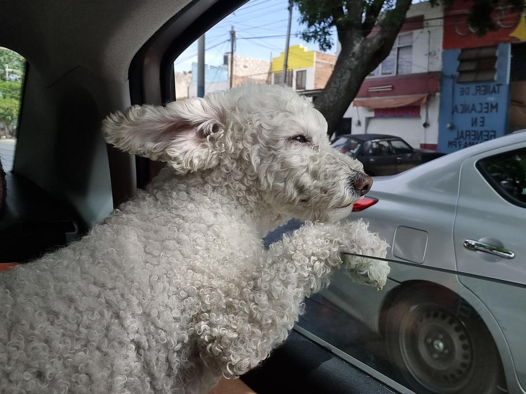 Manuel Silva tweet media