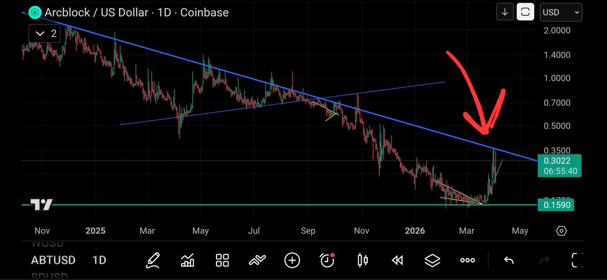 T. Cryptus tweet media