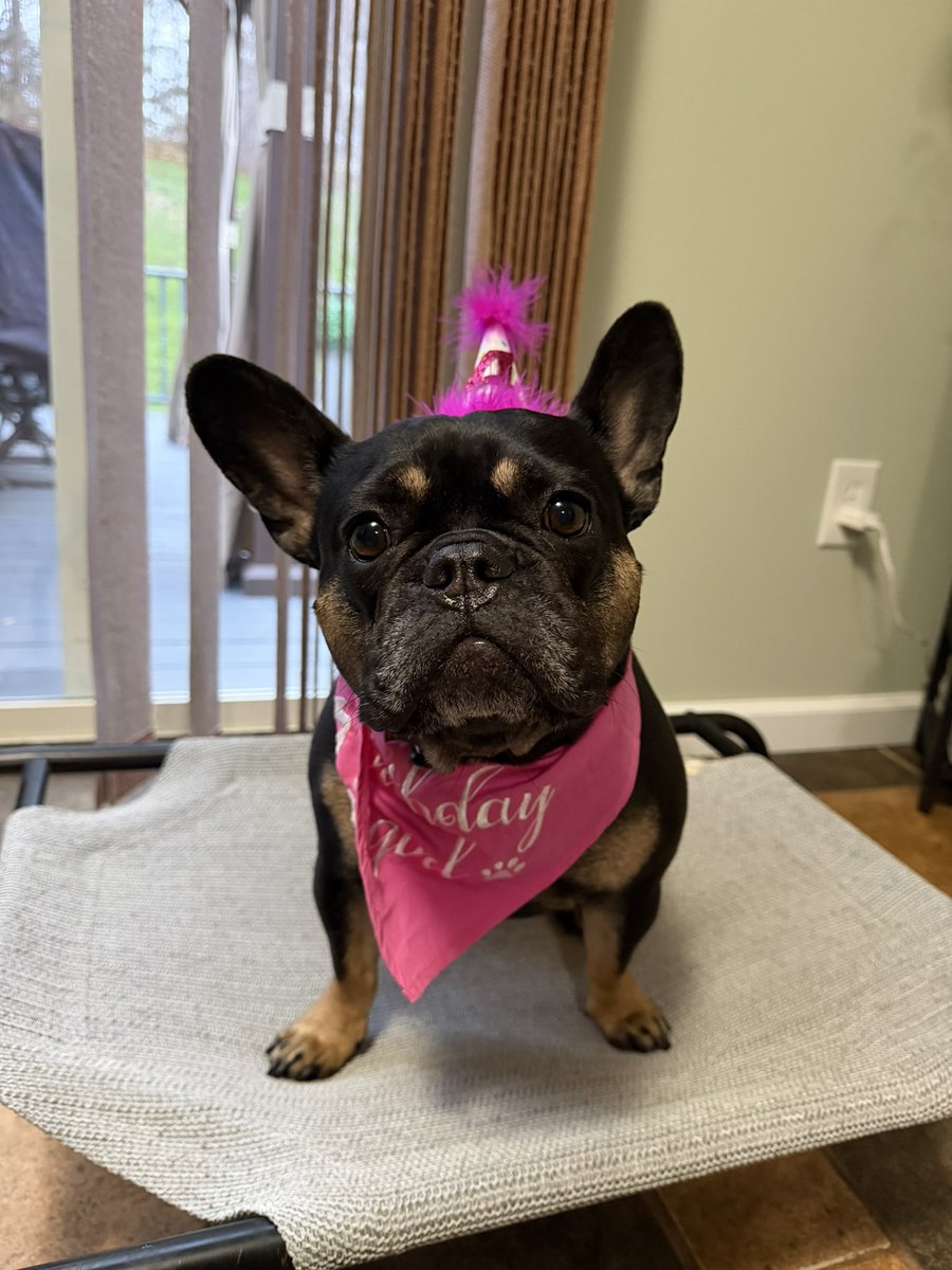 𝕄𝕒𝕟𝕕𝕚𝕚 𝕄𝕠𝕟𝕒𝕣𝕔𝕙♥ tweet media