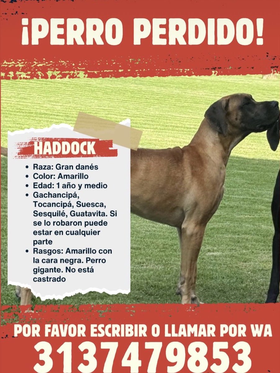 Santiago Alzate. tweet media