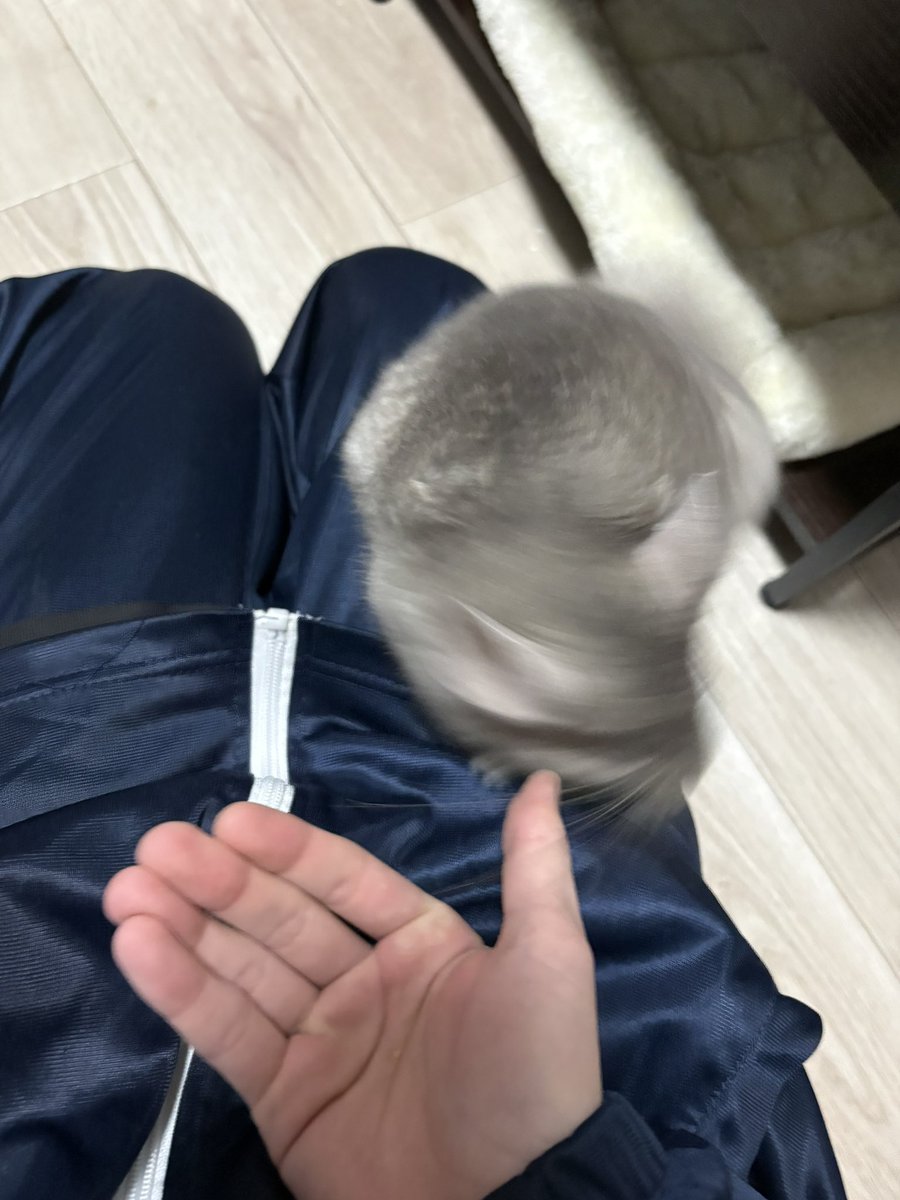 りおん tweet media