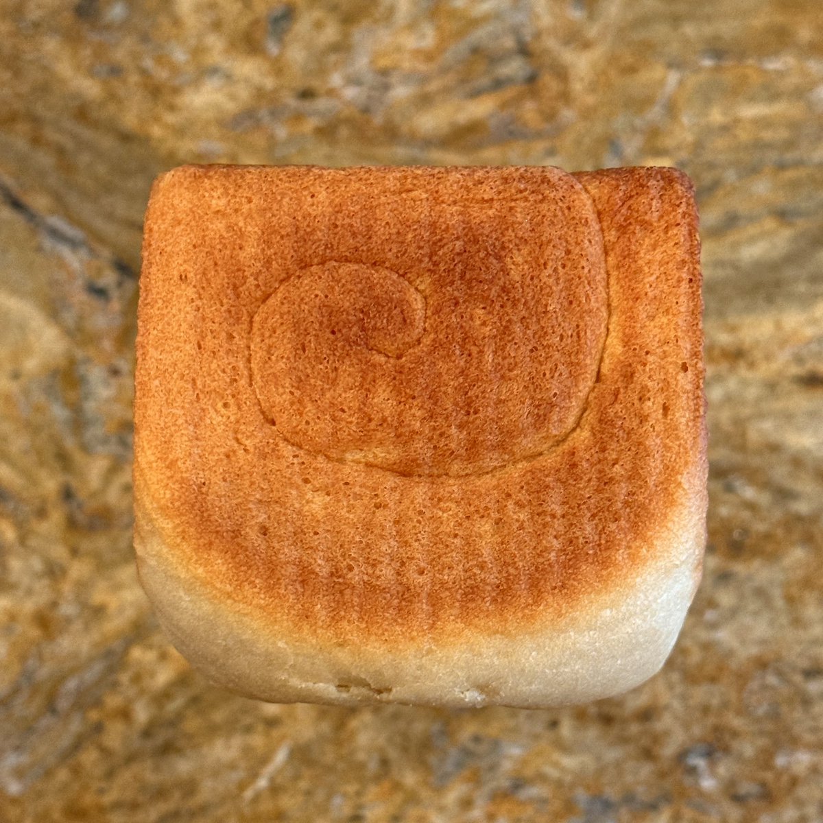 wizard girl tweet media