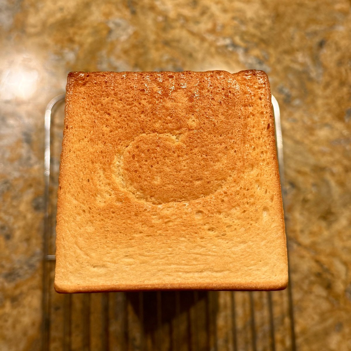 wizard girl tweet media