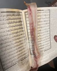 CanadianFren88 tweet media