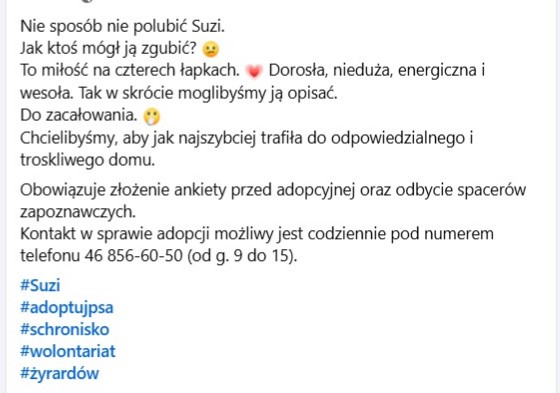 Robwalka Wolf tweet media