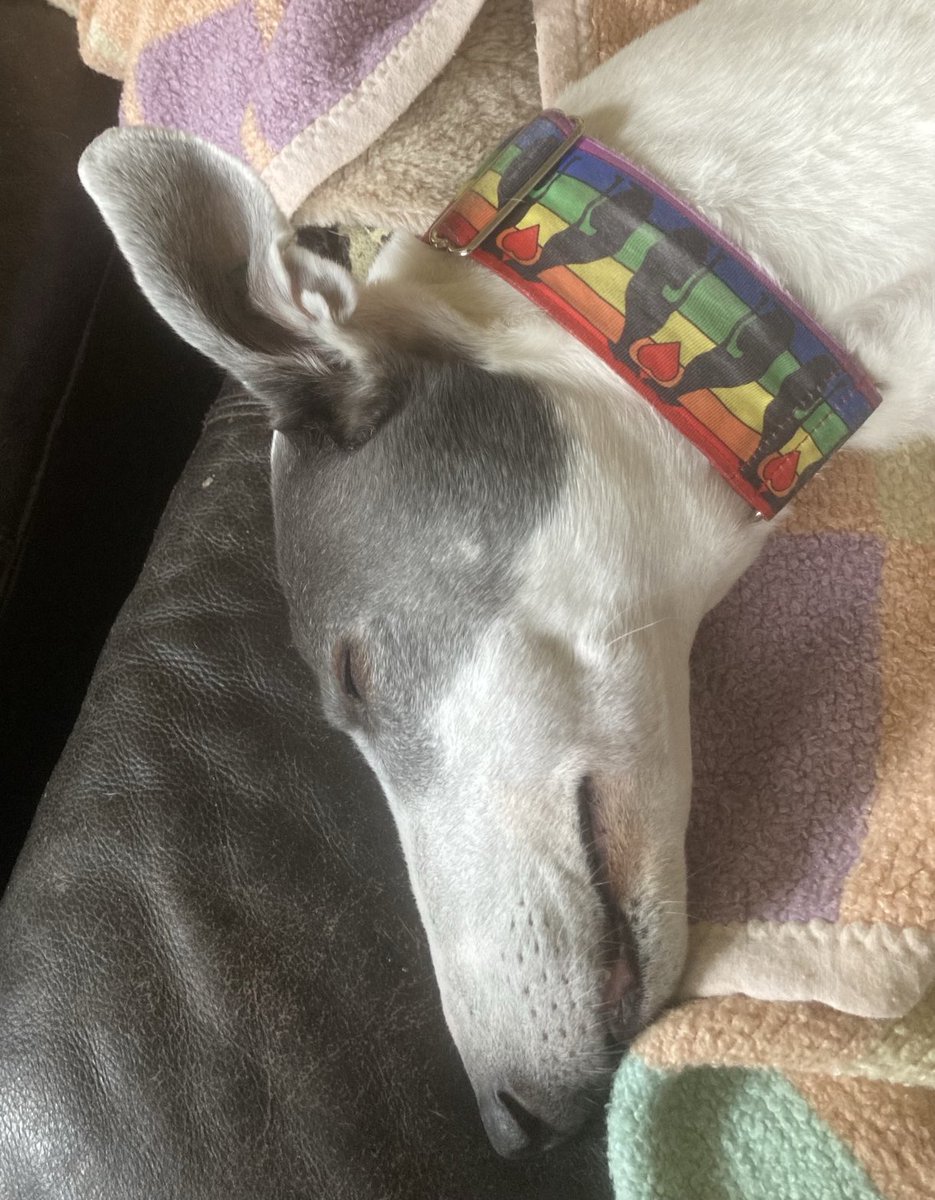 archangel tweet media