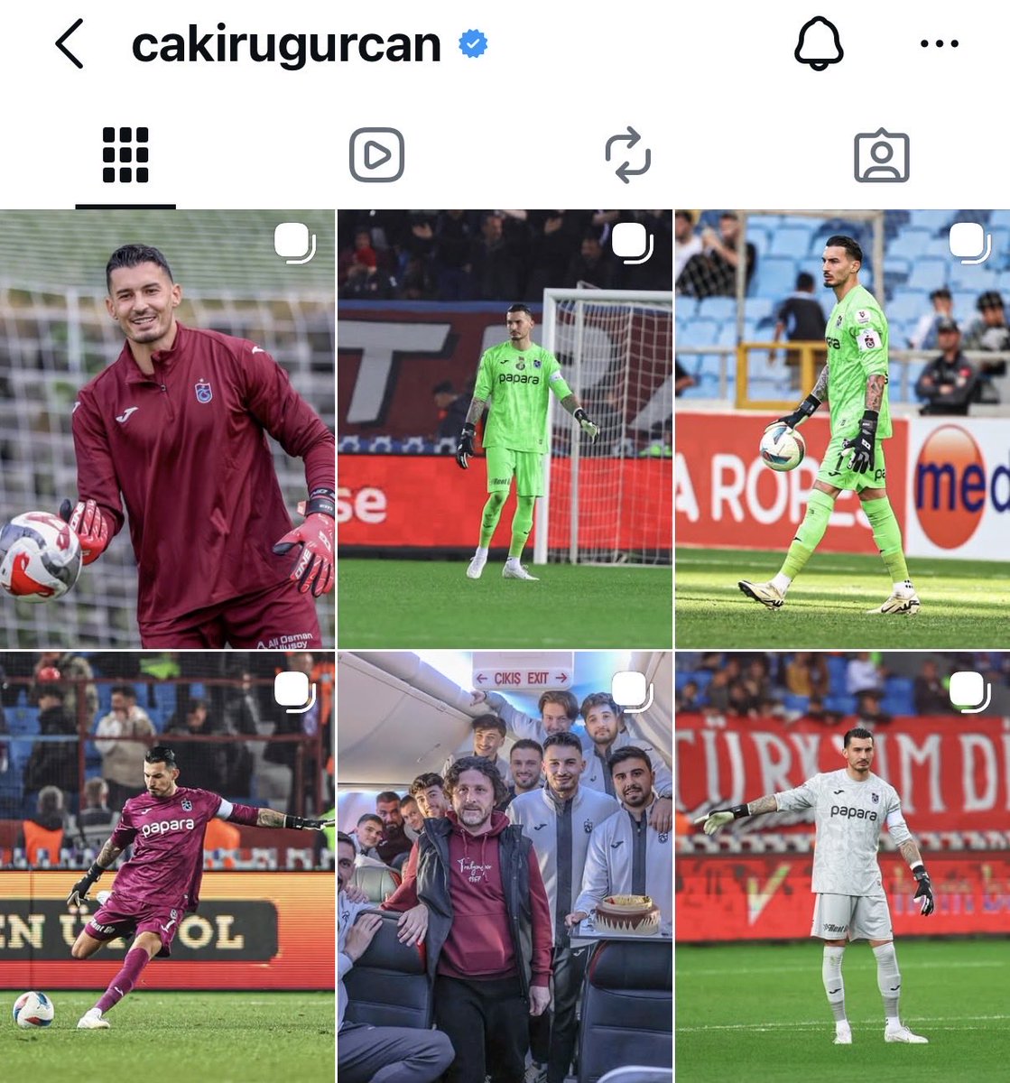 P İ T B U L L tweet media