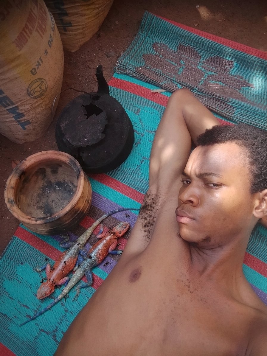 ℙ𝕒𝕤𝕔𝕙𝕒𝕝✭ tweet media