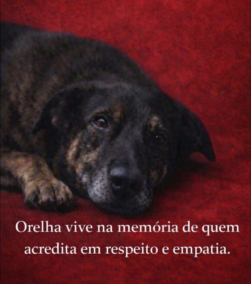 Marco Valverde ® tweet media