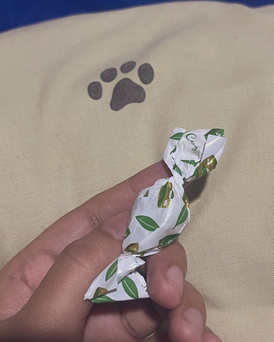 blu.berry 🍰 tweet media