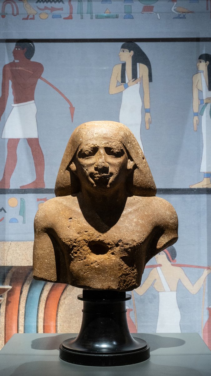 Discover Trieste tweet media