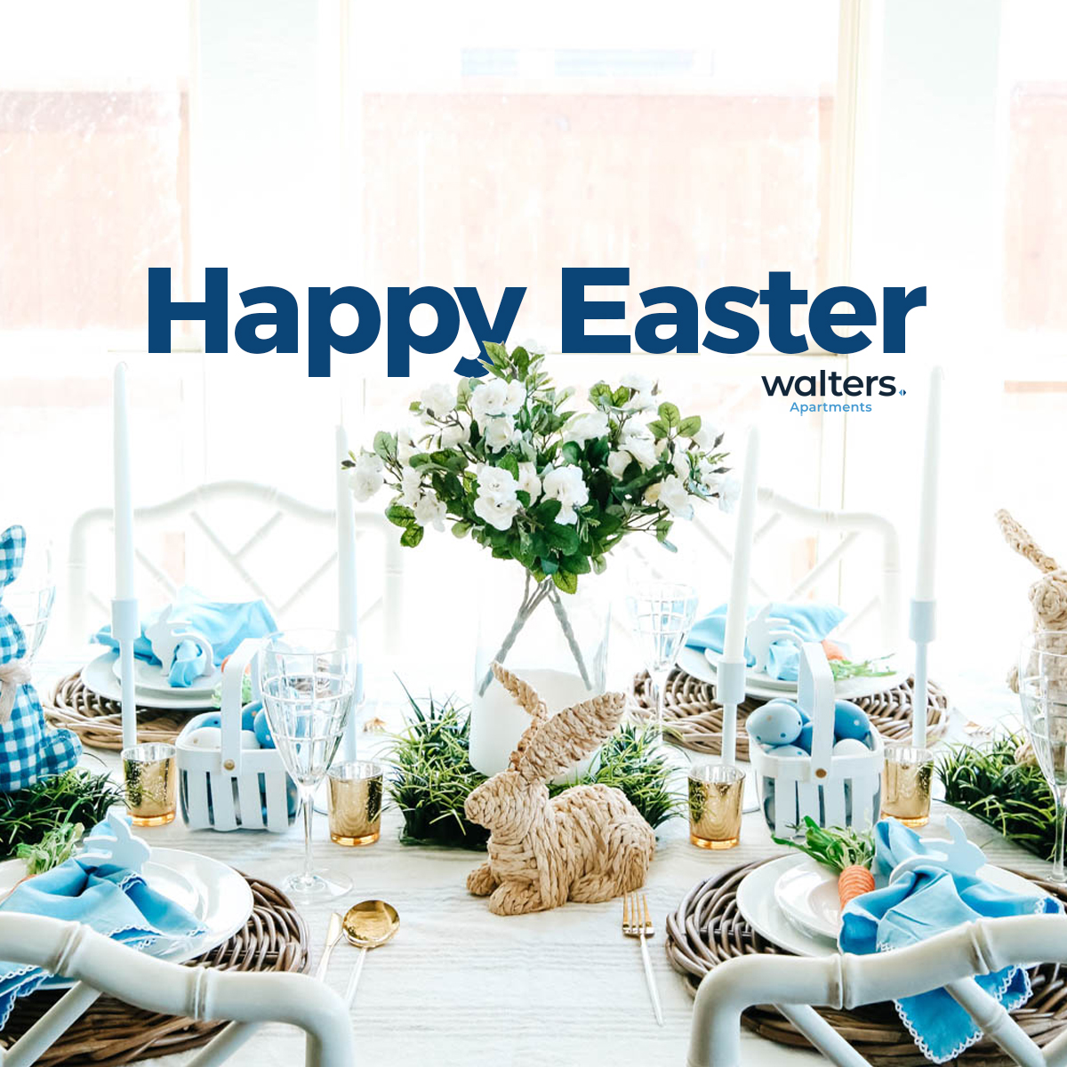 Walters Apartments tweet media