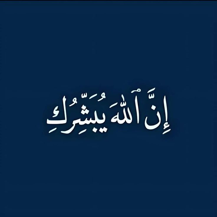 مُطمئِنةَ.! tweet media