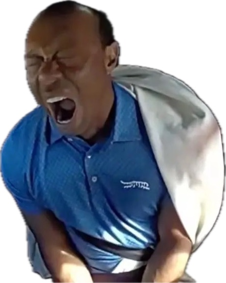 HomeRunPredict tweet media