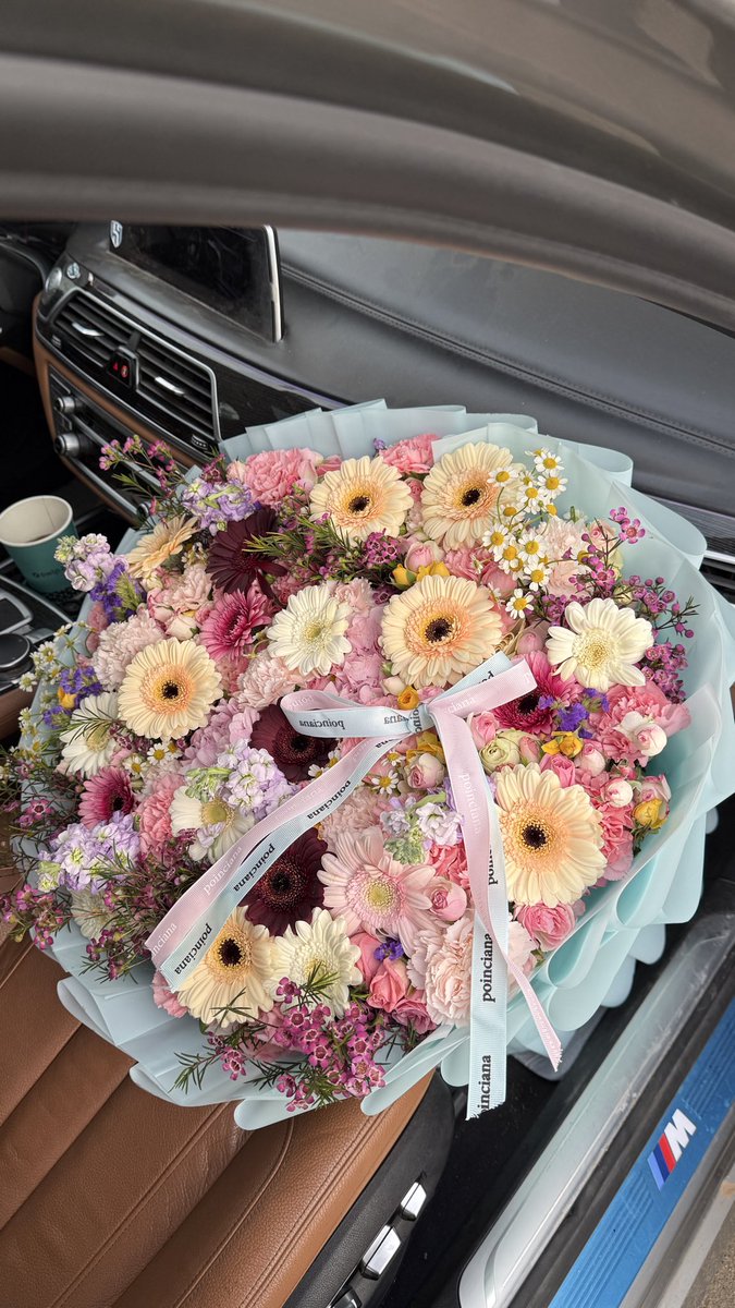 Poinciana|بونسيانا tweet media