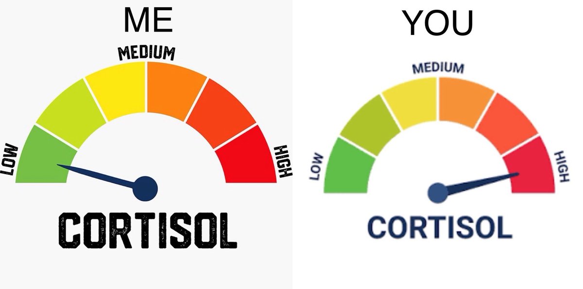 Blitzwolf55 tweet media