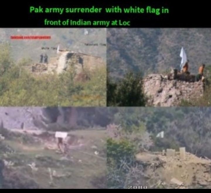 Amazingvol 💦 tweet media