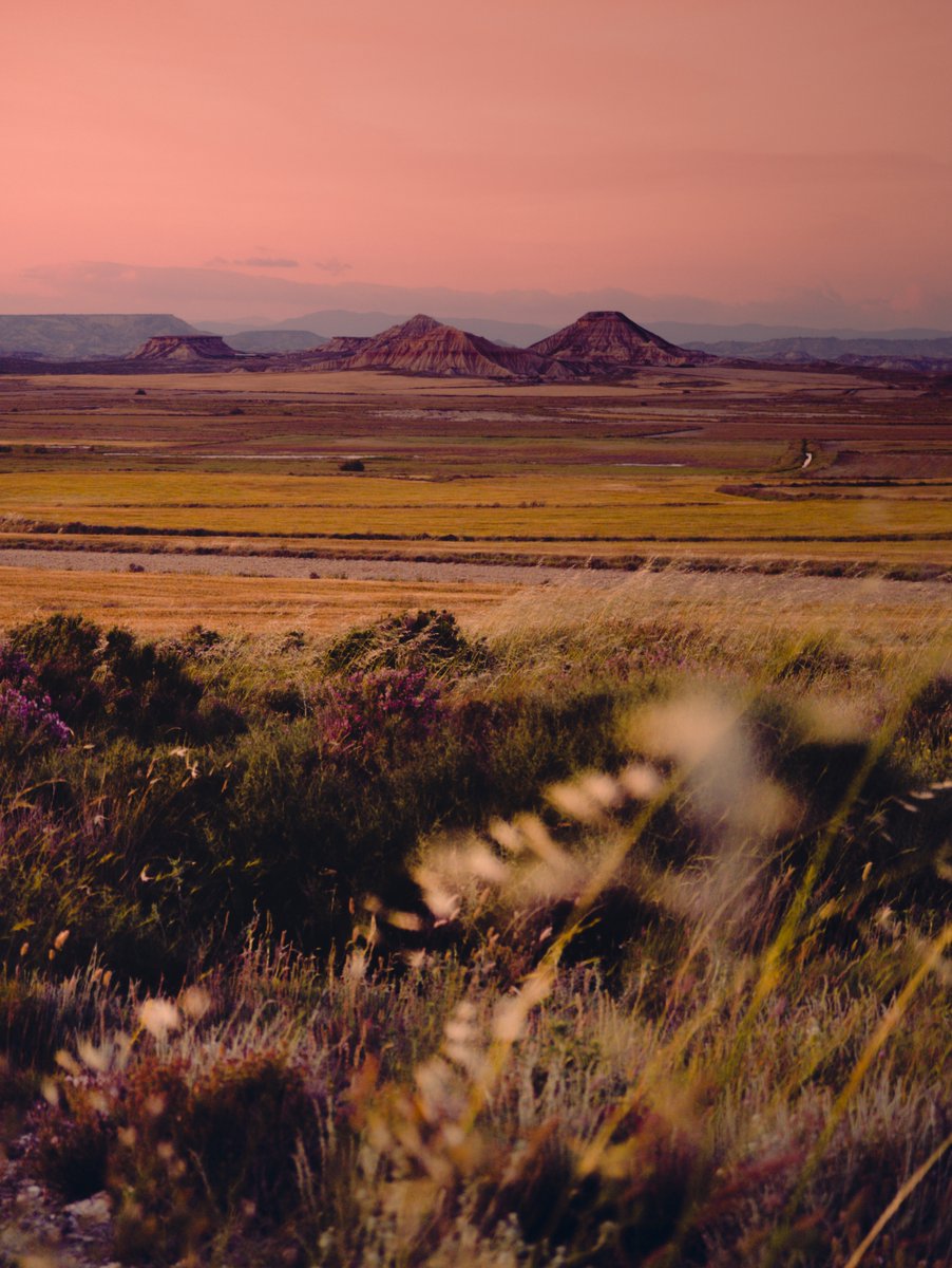 Nicolas Leconte tweet media