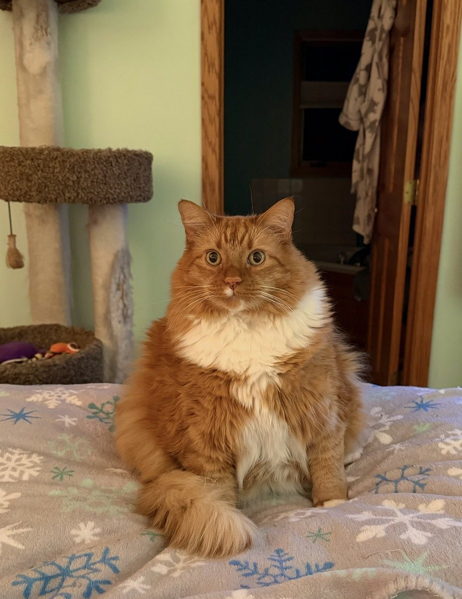 🐛🌷Dean🦋🪴 tweet media