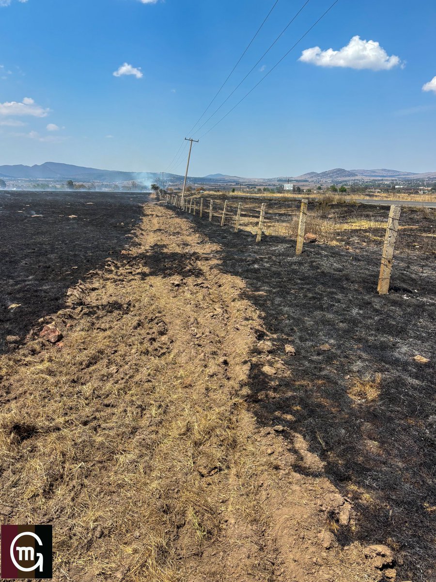Ganadería El Batán tweet media