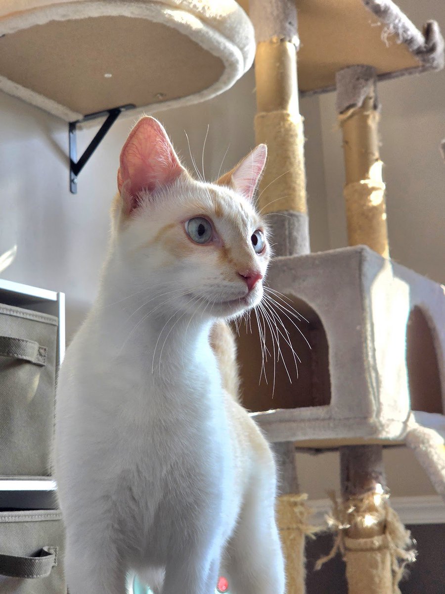 jessica ❤️ tweet media