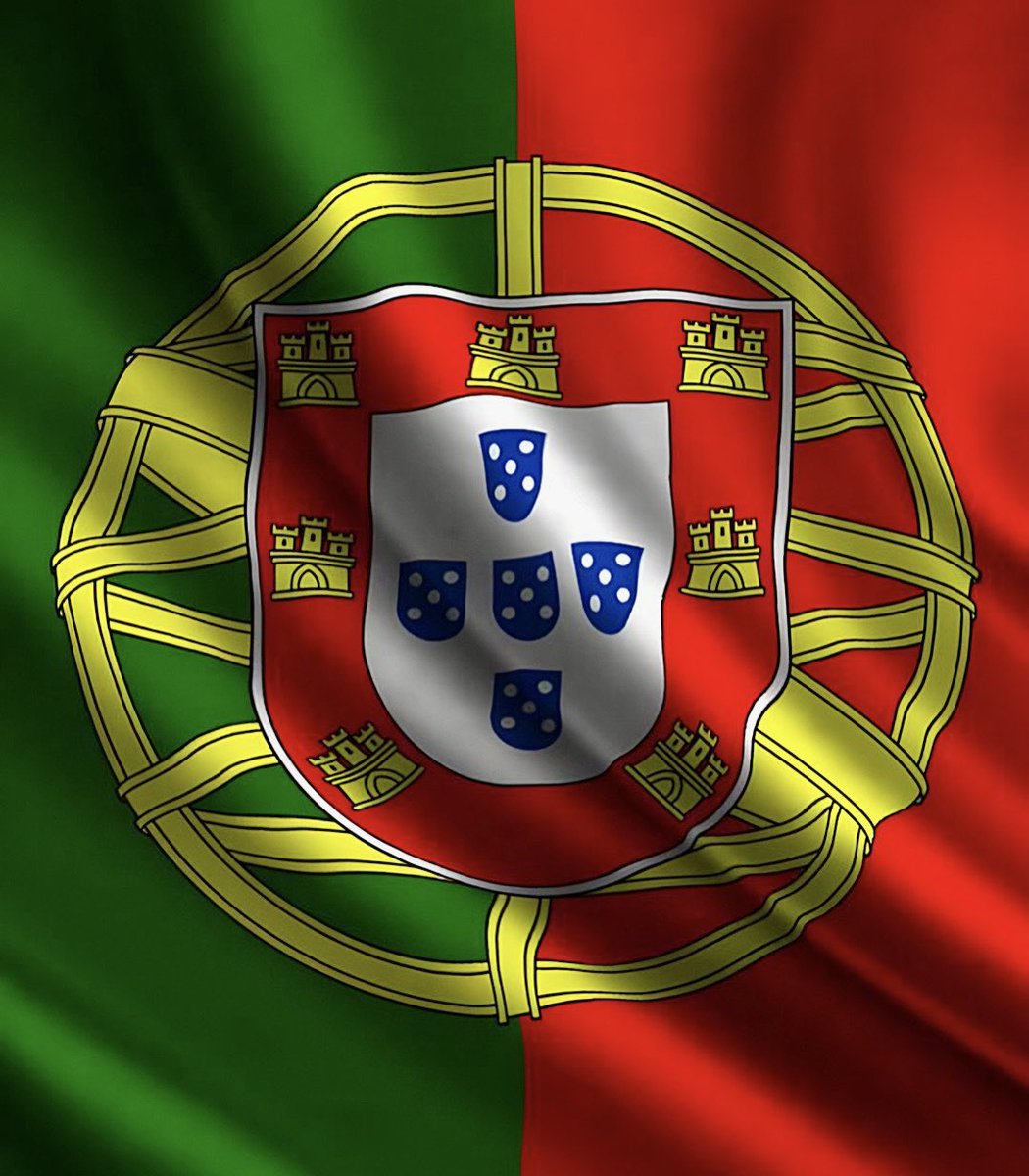 Palmeiras da Depressão tweet media