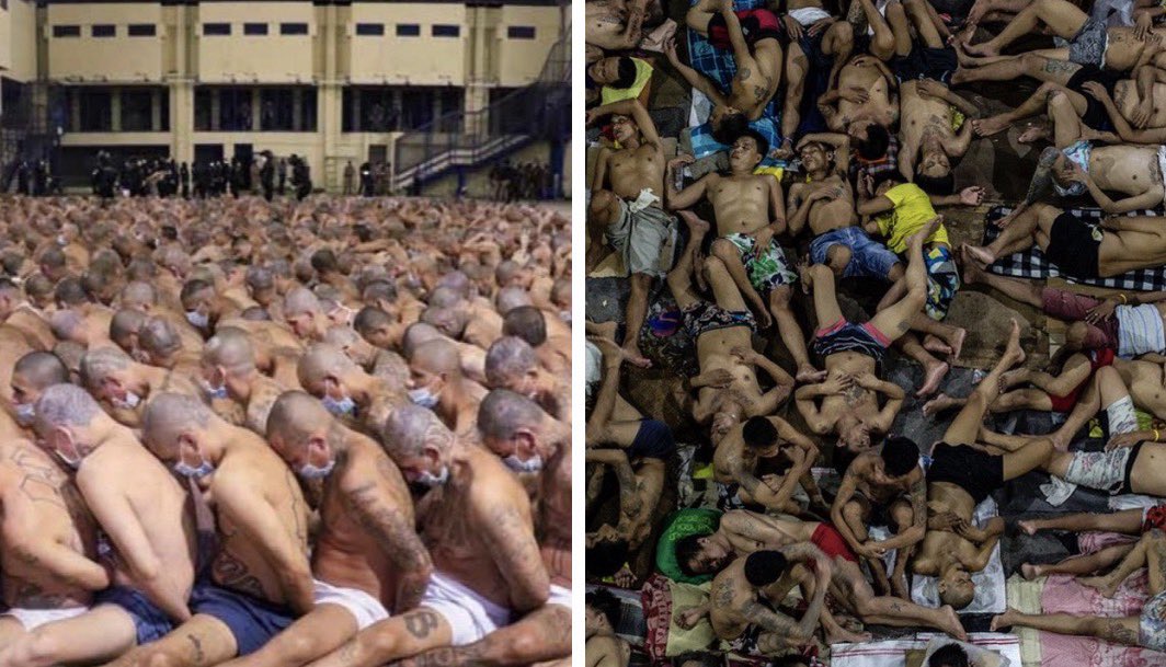 そらぴよ tweet media