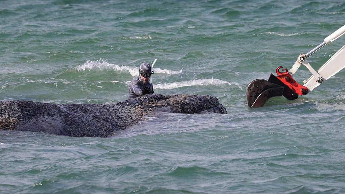 𝑀𝒾𝓈𝓈 𝐸𝓋𝑒 tweet media