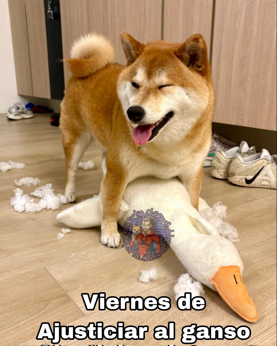 Dandy Daniels - Experto en Cheems :v tweet media