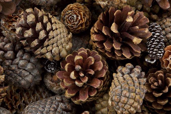 “L'ottimista vede opportunità in ogni pericolo, il pessimista vede pericolo in ogni opportunità”