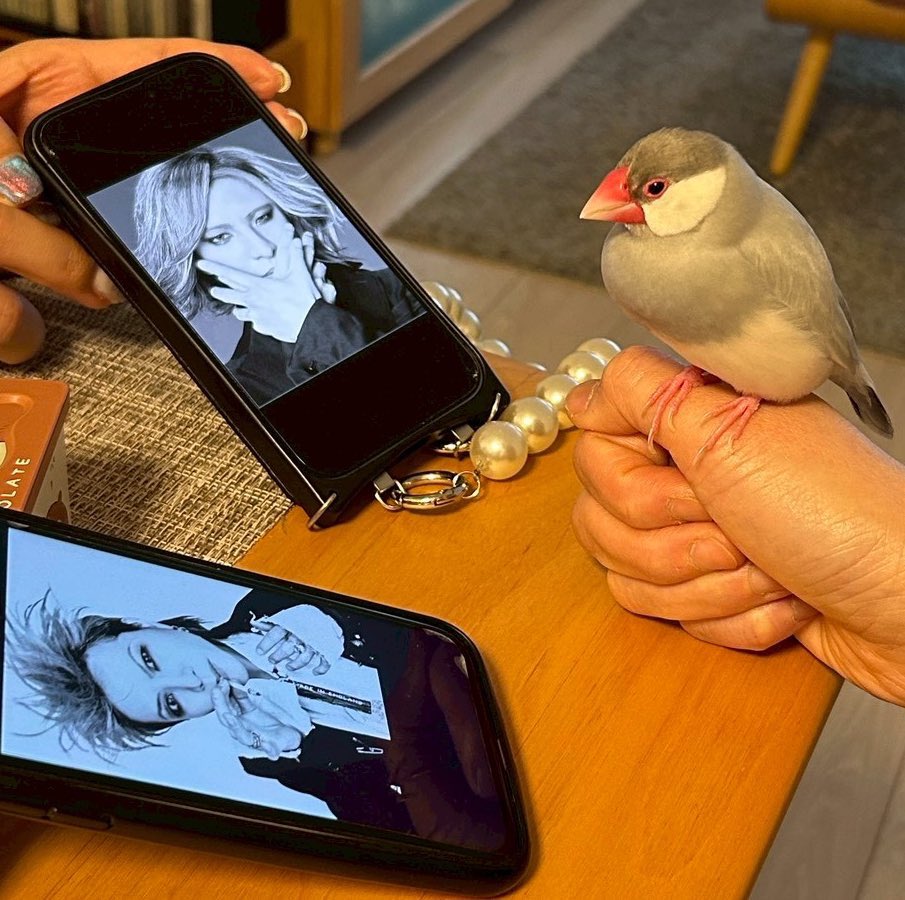 カヲル tweet media