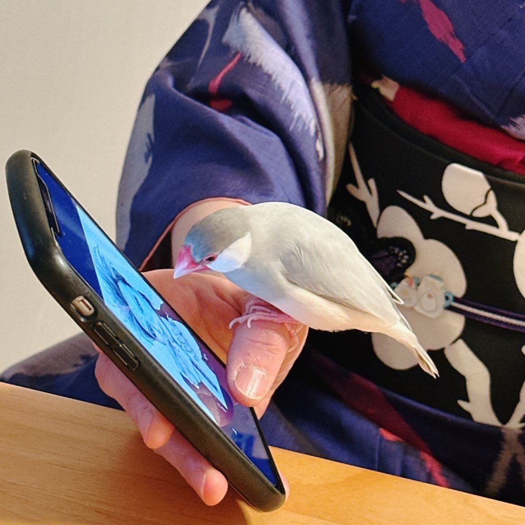 カヲル tweet media