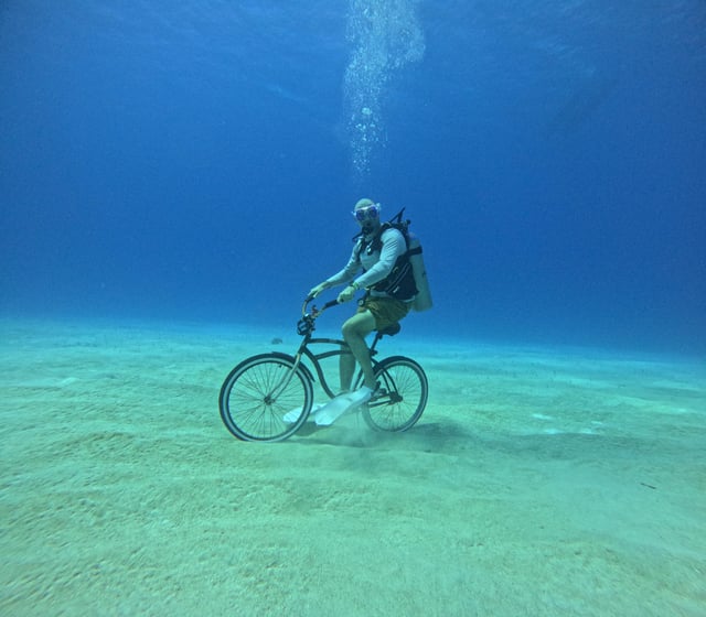 Pašgājējs tweet media