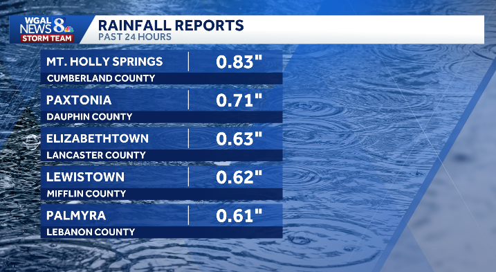 MaryEllen Pann tweet media