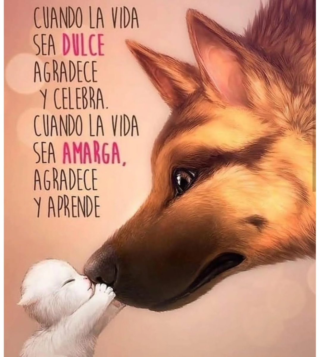 Bisabuelo Mtz tweet media