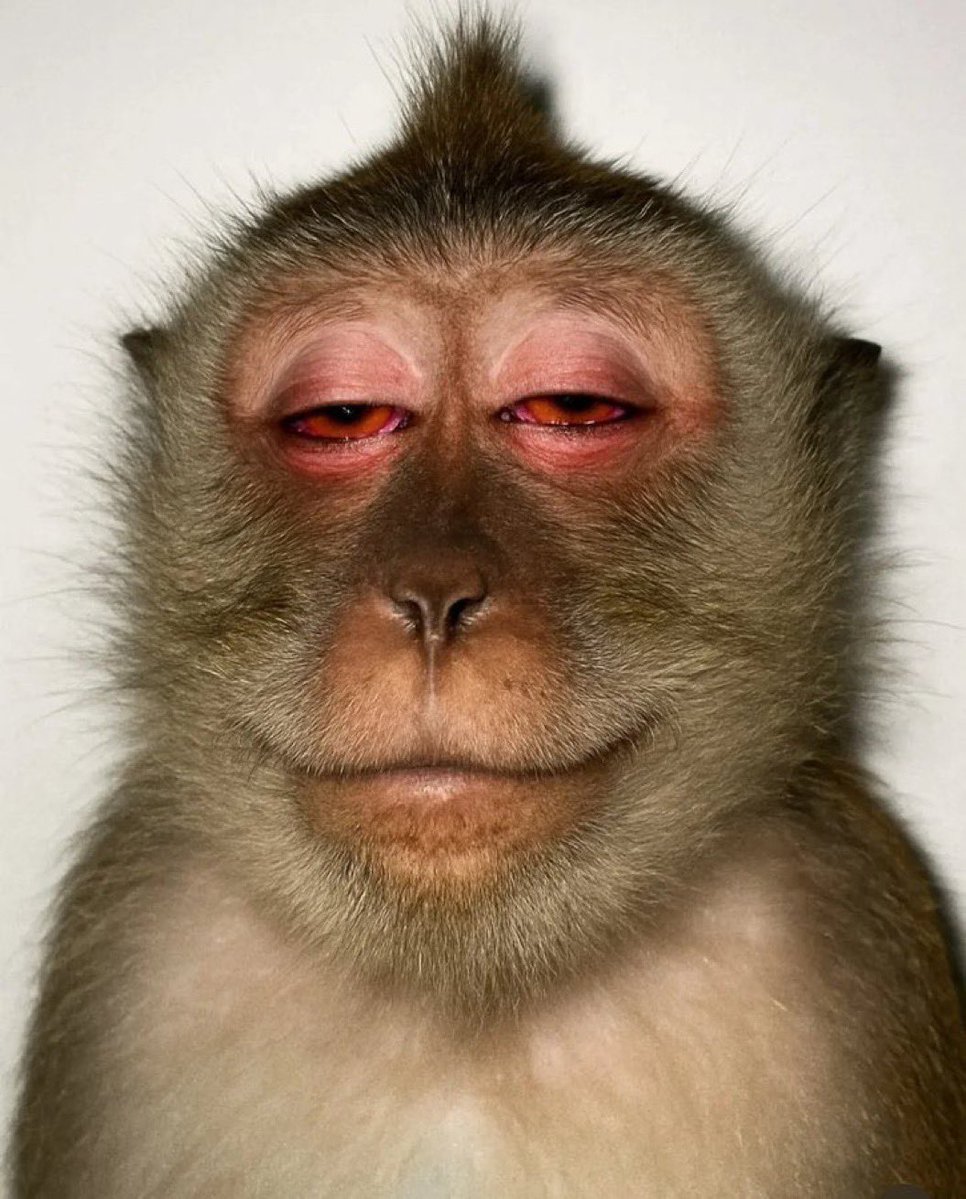 Nana Akowuah the second🇺🇸🇮🇱🇬🇭 tweet media