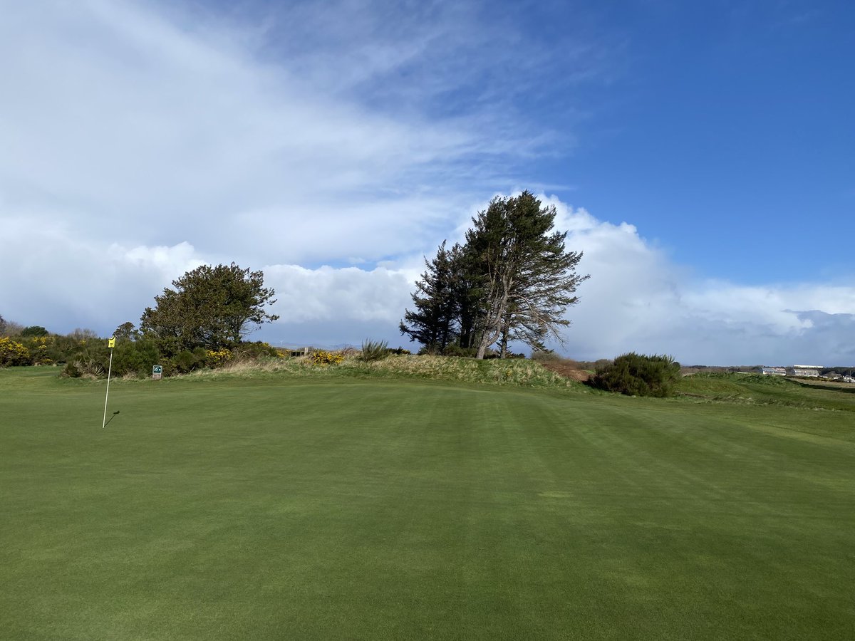 Fraser Chisholm tweet media