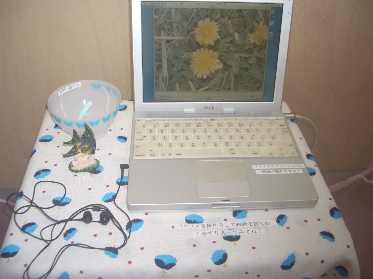 popi/sawa tweet media