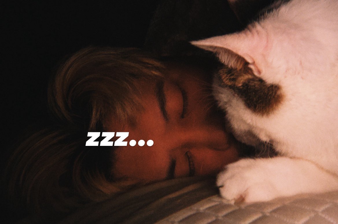 こーゐち🐶 tweet media