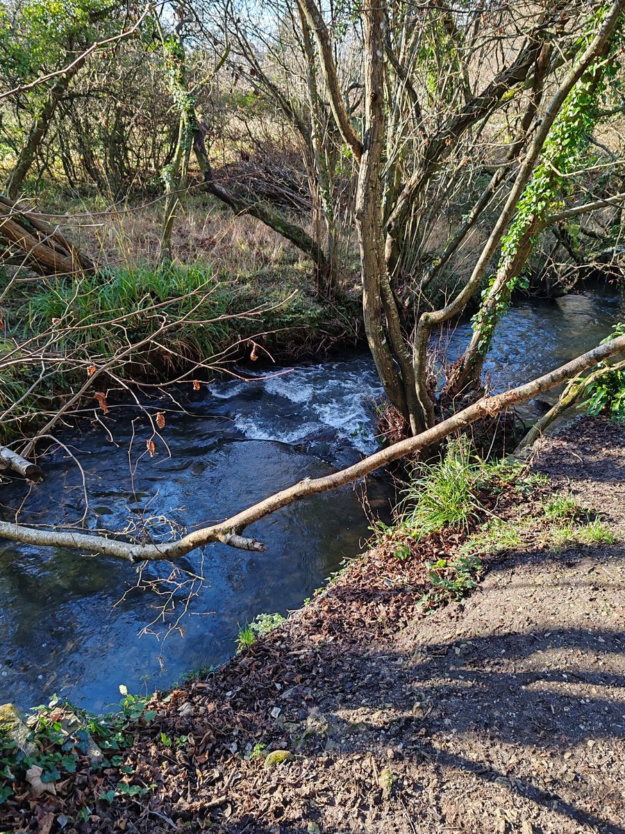 FlipTheTrueVIP tweet media