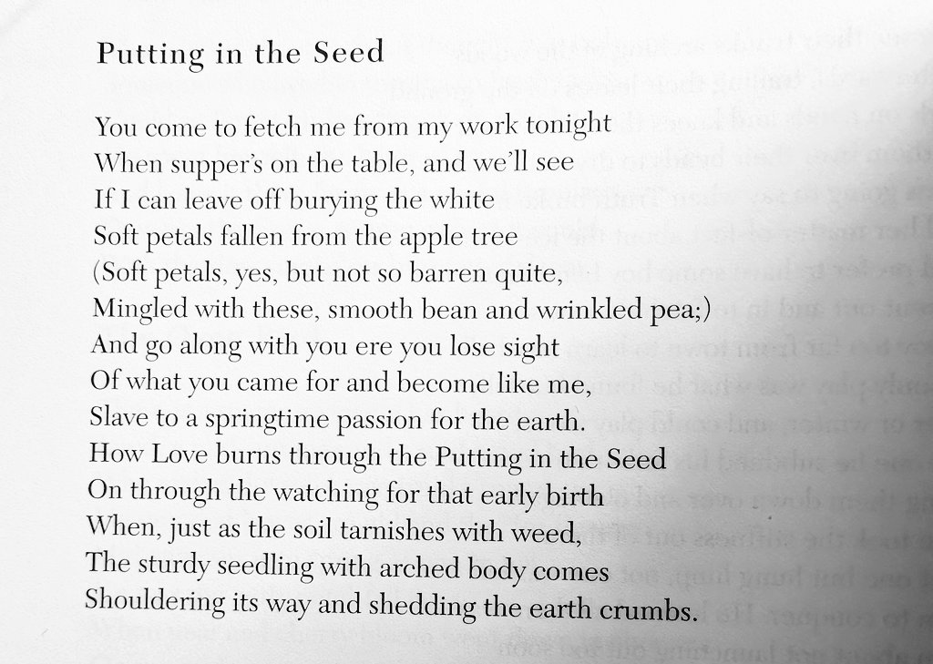 Ardra Manasi tweet media