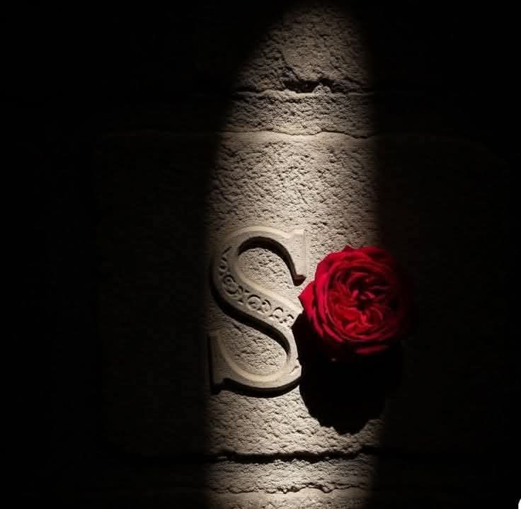 SabreenaSana tweet media