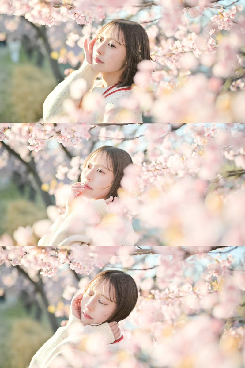 月森あすか tweet media