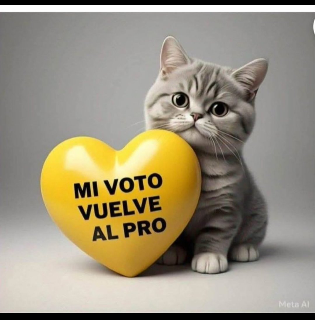 MariaTodaro13's tweet image. #PRO
#SomosElPROximoPaso 
#MacristasUnidos
#Macri2027
#NoMeManchoDeVioleta
💛🇦🇷💛🇦🇷💛🇦🇷💛🇦🇷💛🇦🇷