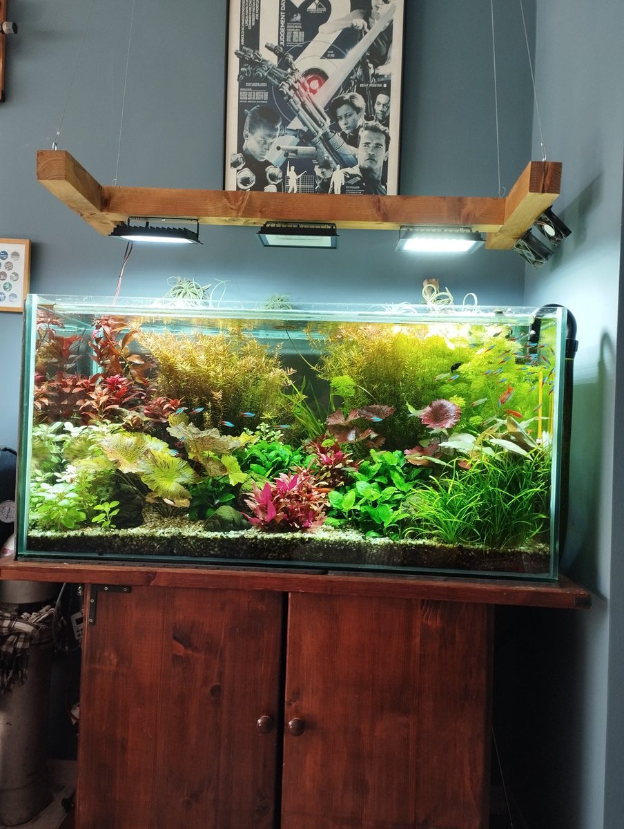 Ключарка tweet media