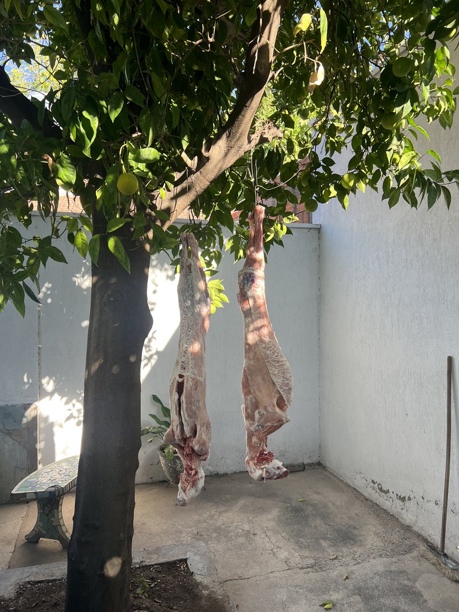 Hugo Laricchia 🍷 tweet media