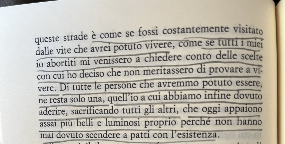 daria adesso tweet media