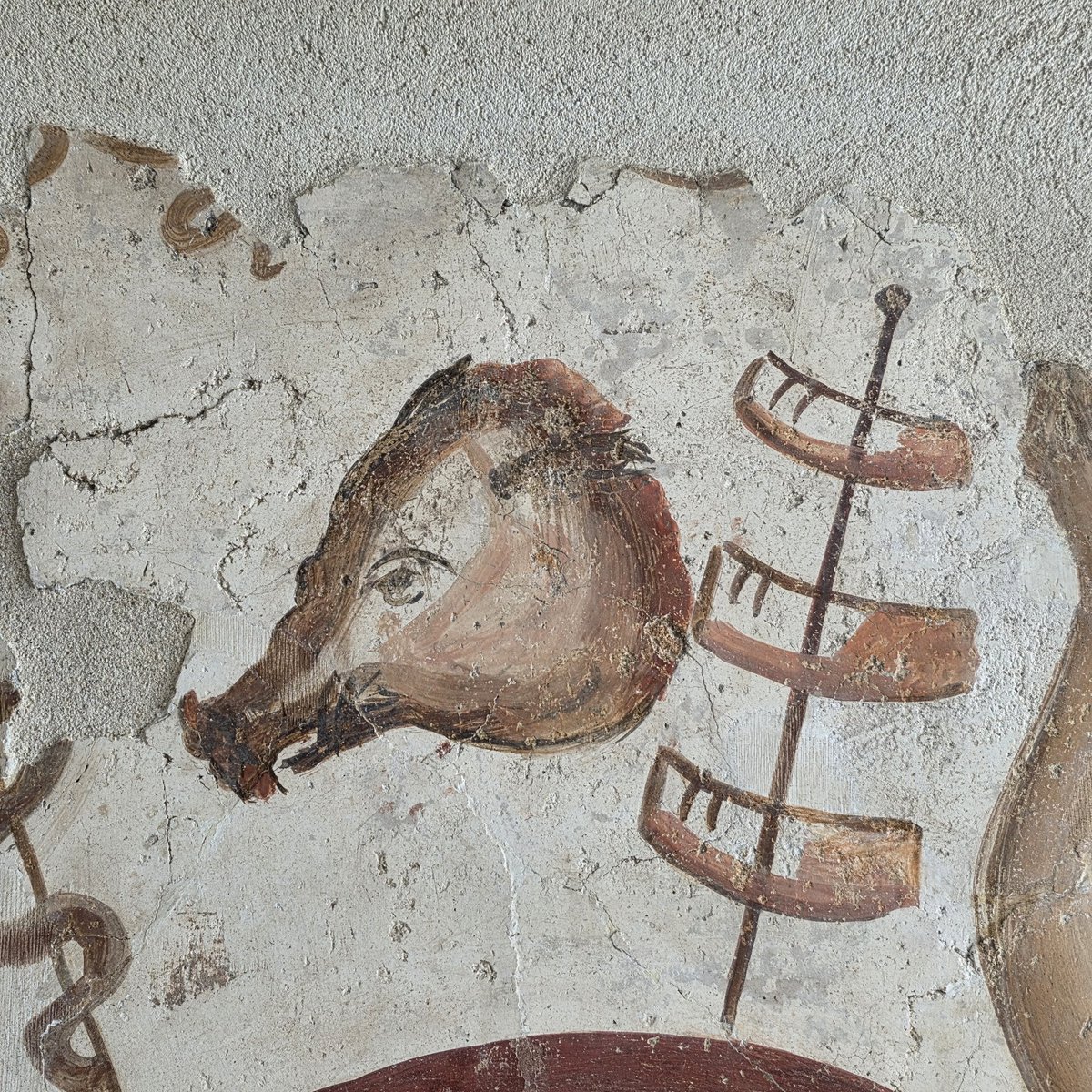 🏛 TotPompeia 🏛 tweet media